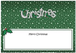 Xmas Merry Christmas Matching Large Dl Insert