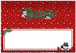 Xmas Nephew Matching Large Dl Insert