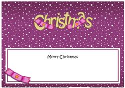 Xmas Merry Christmas Matching Large Dl Insert