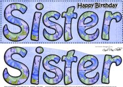 Large Dl Happy Birthday Sister Card & 3D Decoupage