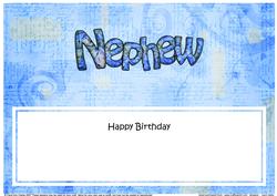 Birthday Nephew Matching Large Dl Insert