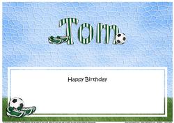 Happy Birthday Tom Matching Large Dl Insert