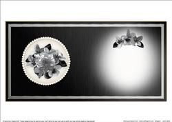 Flowers & Pearls Insert - Square Portrait