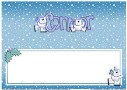 Xmas Connor Matching Large Dl Insert
