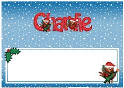 Xmas Charlie Matching Large Dl Insert