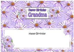 Birthday Grandma Daisies Floral Large Dl Matching Insert