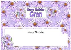 Birthday Gran Daisies Floral Large Dl Matching Insert