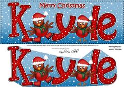 Merry Christmas Kyle Robins Large Dl & 3D Decoupage