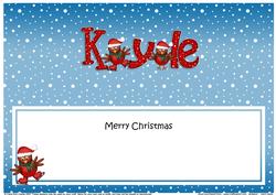 Merry Christmas Kyle Robins Matching Large Dl Insert