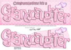 Large Dl Congratulations It's a Granddaughter 3D Decoupage