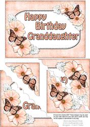 5x7 Flowers & Butterflies Birthday Granddaughter