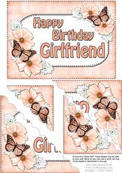 5x7 Flowers & Butterflies Birthday Girlfriend
