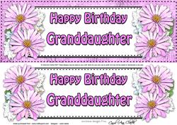 Large Dl Birthday Granddaughter Daisies Floral 3D Decoupage