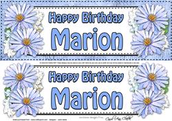 Large Dl Birthday Marion Daisies Floral 3D Decoupage