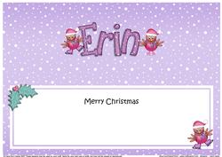 Merry Christmas Erin Robins Matching Large Dl Insert
