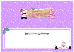 Babys 1st Christmas Santa Signpost Large Dl Matching Insert