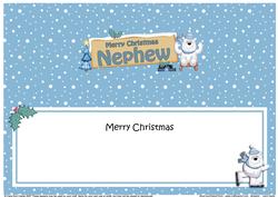 Xmas Nephew Polar Bear Signpost Large Dl Matching Insert