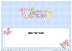 Birthday Clare Butterflies Large Dl Matching Insert