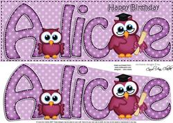 Large Dl Birthday Alice Hoot Owls Card & 3D Decoupage