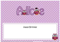 Birthday Alice Hoot Owls Large Dl Matching Insert