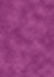 Backing Paper to Match Pansy A4 Design