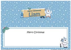 Xmas Liam Polar Bear Signpost Large Dl Matching Insert