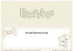 Parents to Be Baby Matching Large Dl Insert