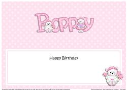 Birthday Poppy Teddy Matching Large Dl Insert