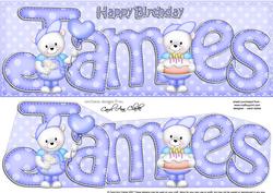 Large Dl Birthday James Teddy Card N 3D Decoupage