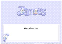 Birthday James Teddy Matching Large Dl Insert