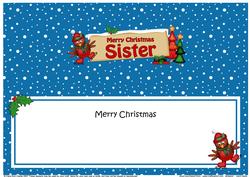 Xmas Sister Robin Signpost Large Dl Matching Insert