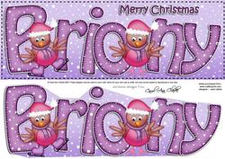 Merry Christmas Briony Robins Large Dl & 3D Decoupage
