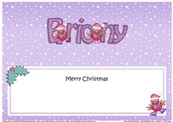 Merry Christmas Briony Robins Matching Large Dl Insert