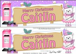 Xmas Caitlin Teddy Tess Signpost Large Dl Easicut Decoupage