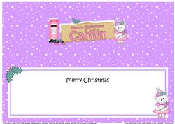 Xmas Caitlin Teddy Tess Signpost Large Dl Matching Insert