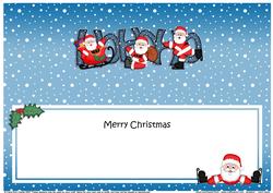 Xmas Hohoho Santa Matching Large Dl Insert