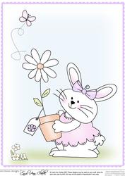 A4 Little Bunny