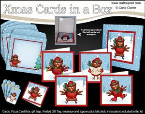 Christmas Robins Cards in a Box Bumper Kit