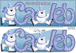 Merry Christmas Caleb Polar Bears Large Dl & 3D Decoupage
