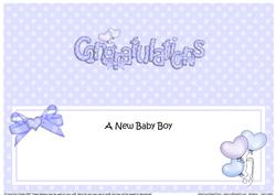 New Baby Boy Congratulations Matching Large Dl Insert