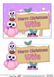 Xmas Wife Owl Signpost 5x7 Easicut Decoupage