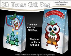 3D Xmas Sledging Owl Gift Box Mini Kit