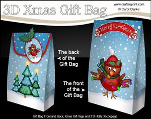 3D Xmas Robin's Christmas Lights Gift Box Mini Kit