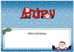 Xmas Andrew Santa Matching Large Dl Insert