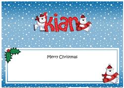 Xmas Kian Polar Bears Matching Large Dl Insert