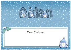 Xmas Aidan Penguins Matching Large Dl Insert