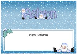 Xmas Ashton Santa Matching Large Dl Insert