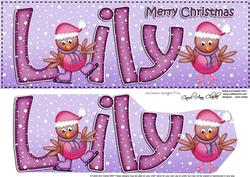 Xmas Lily Robins Large Dl & 3D Decoupage