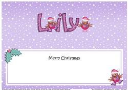 Xmas Lily Robins Matching Large Dl Insert