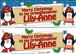 Xmas Lily-anne Penguins Signpost Lge Dl Easicut Decoupage